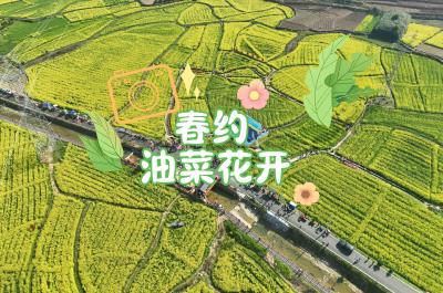 【短视频】春约——油菜花开