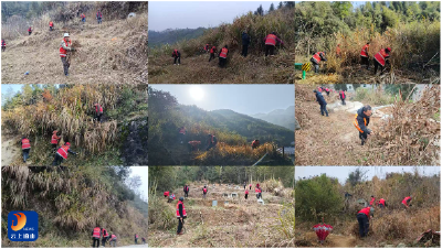 洪港镇：“清茅利剑”从突击行动到长期工作