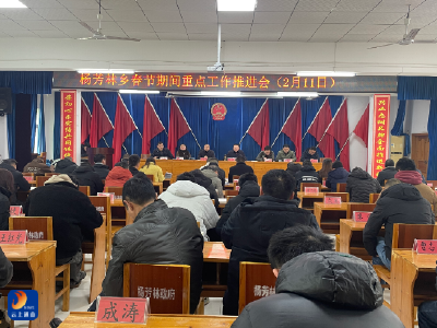 杨芳林乡：节前部署强担当 力保祥和温暖过新年