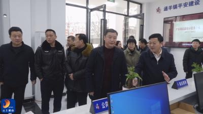 V视丨通羊镇综治中心正式启用