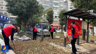 党建引领学雷锋 垃圾不落地齐行动 ——县城管局开展“3月学雷锋纪念月”主题志愿服务活动