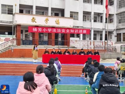 杨芳林乡杨芳小学：多方合力共育法治平安校园