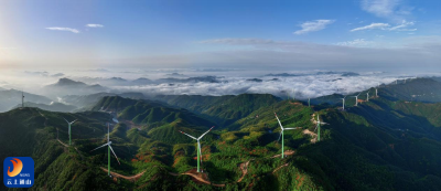 通山：春色满山城花开引客来