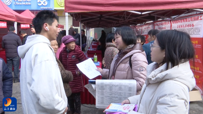 V视丨春归行动暖杨芳 劳务协作促就业