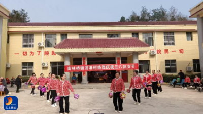 南林桥镇：巾帼庆三八 温情暖夕阳
