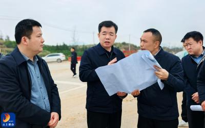 吴涛到南林桥镇、南林工业园调研：以产业振兴促乡村振兴 以园区提质强发展支撑