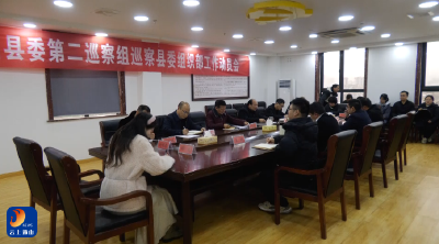 V视丨县委第二巡察组巡察县委组织部工作动员会召开