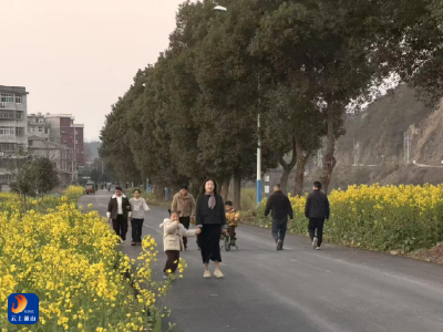 路通众人安  灯亮百姓欢  洪港镇人大代表一纸建议解民忧