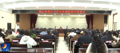 V视丨通山县统计工作业务培训班开班仪式暨投资领域统计工作培训会召开