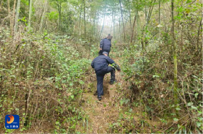 慈口乡社区积极开展春季禁种铲毒行动 守护一方净土