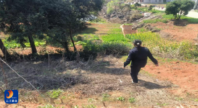 燕厦乡：禁种铲毒零容忍 守护净土保平安