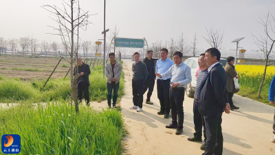 他山之石可攻玉，共谋产业振兴路----省供销社驻孟垅村工作队一行赴潜江生姜培育基地调研