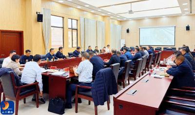 九宫山坳坪旅游综合体项目专题调度会召开 以项目建设实效赋能乡村全面振兴