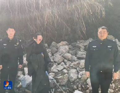 1条“宁好码”求助，4小时紧急搜寻，通山8旬走失老人平安回家