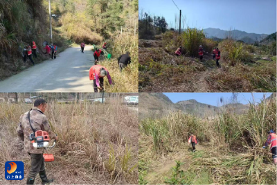 洪港镇：向森林火灾风险隐患“亮剑”