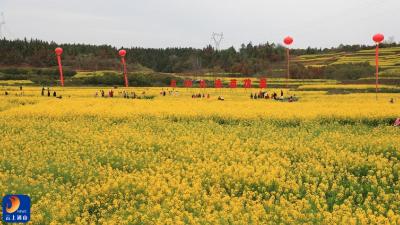 V视丨春满通山花似海 各花争艳迎客来——通山赏花季诚邀八方游客共赴春日盛宴
