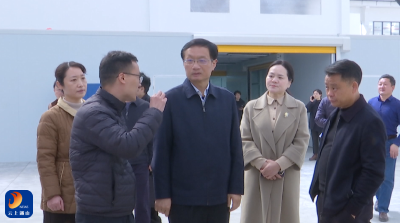 V视丨市领导到通山调研新材料产业发展情况