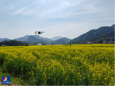 三月春风暖，春耕正当时——燕厦乡春耕备耕工作有序高效推进