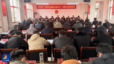 洪港镇：架起“连心桥”、当好“守门人”，开展支部书记遍访千家万户行动