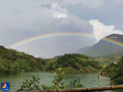 视察督办并举跟踪追责并用  通山县人大常委会当好生态环境“保护神”