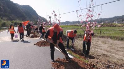 V视丨南林桥镇：植树添绿护河道 志愿服务助振兴