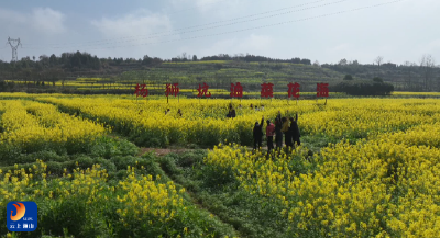 V视丨大路乡第五届杨狮坑油菜花文化旅游节盛大开幕