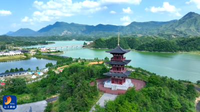 【圆梦“三区” 通山“有解”访谈 】V视丨大畈镇：以“钉钉子”精神答好乡村振兴“发展卷”