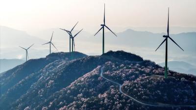【飞“悦”通山】2026仲春通山景致