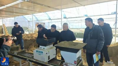 南林桥镇：抓实春耕备耕 护航粮食生产