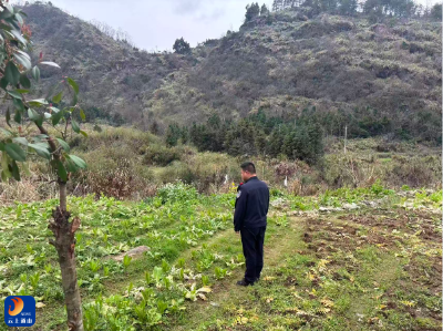 联合出击！闯王镇织密春季禁种铲毒防护网