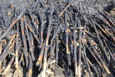 逼停11辆列车，拘留！各位村民，别学他们！ 