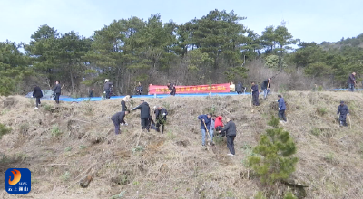 V视丨九管会：义务植树添新绿 守护生态九宫山