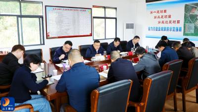 王功辉调研督办坳坪旅游综合体项目建设工作