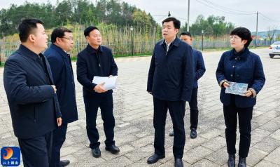 吴涛在南林工业园区调研时强调：牢固树立正确政绩观 有力盘活闲置资产  以园区提质增效助推高质量发展