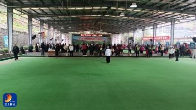 通山门委擂响马年征战鼓——2026年“迎春杯”门球赛圆满落幕 