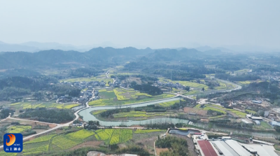 【圆梦“三区” 通山“有解”访谈 】V视丨人大代表陈世胜：执绿色之笔  探田园共富的有解之路