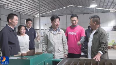 通山县“茶香杨芳林”采茶季暨“忆江南”杯茶马古道欢乐跑活动盛大开幕