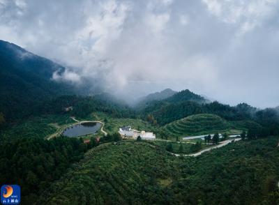 通山：一叶生 一链深 一方兴