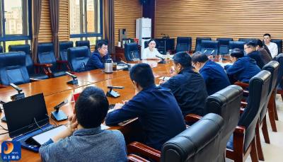 吴涛主持召开国投项目建设专题会议  以实干担当树牢正确政绩观 推动国投项目提速提质提效