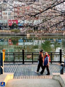 通山：一河碧水润山城 两岸锦绣惠民生