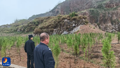 大畈镇开展禁种禁毒巡查 筑牢无毒乡镇防线