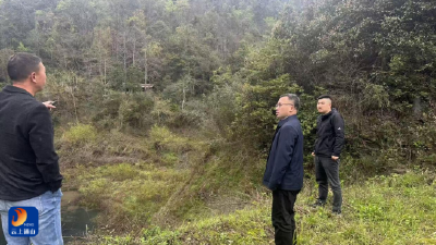 厦铺镇：巡查防汛重点 筑牢安全防线