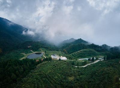 湖北通山：一叶生 一链深 一方兴