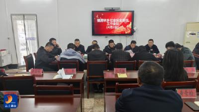 杨芳林乡：传达学习全县社会安全稳定工作会议精神