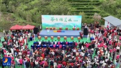 杨芳林乡工会“三维发力”筑保障 “茶香杨芳林”活动展担当