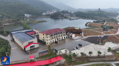 【圆梦“三区” 通山“有解” 】V视丨 阮峰：一粒枇杷串起三产 一方热土托起共富