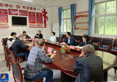 把脉“一分三率” 筑牢教育根基——九宫山镇召开基础教育专题研判会