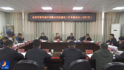 V视丨县领导督导通羊镇重点项目建设工作