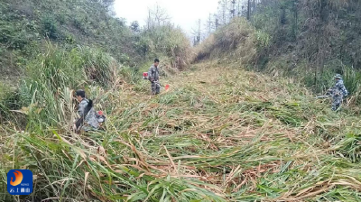 大路乡：除杂清茅防未“燃” 打响清明防火攻坚战