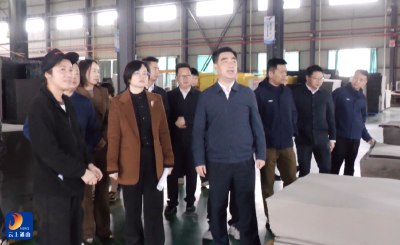 V视丨市政协调研组到通山县开展专题调研工作
